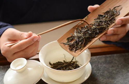 收藏普洱白茶黑茶时,这3种茶最好别存,有些茶,藏100年也是垃圾