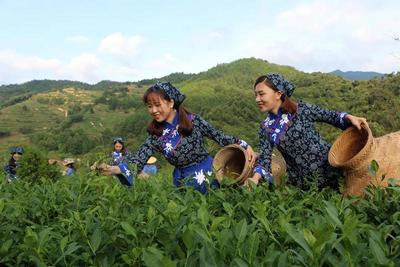 泉州安溪茶都